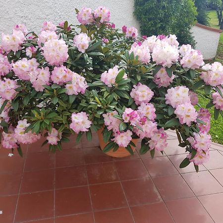 Casa Vittoria Villa Corsanico-Bargecchia Eksteriør billede