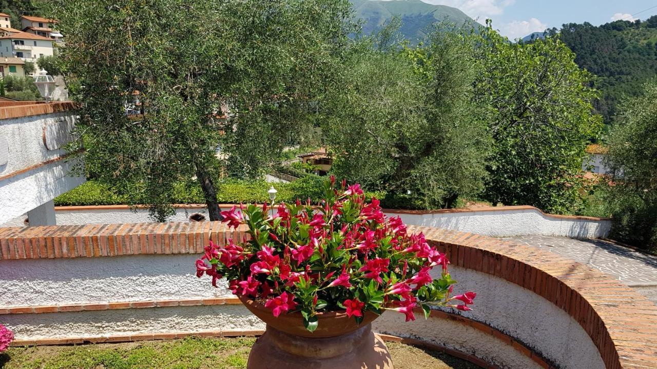Casa Vittoria Villa Corsanico-Bargecchia Eksteriør billede