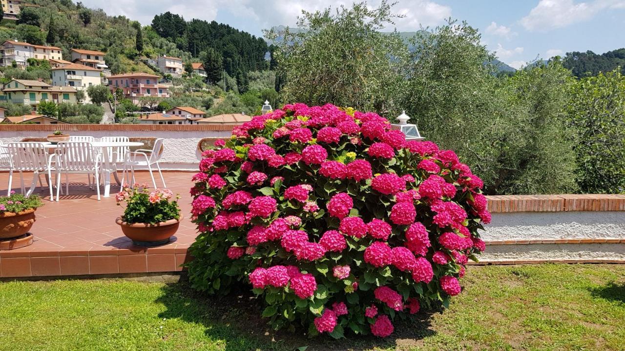 Casa Vittoria Villa Corsanico-Bargecchia Eksteriør billede