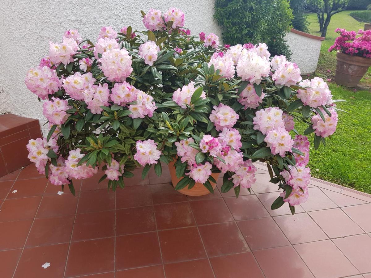 Casa Vittoria Villa Corsanico-Bargecchia Eksteriør billede