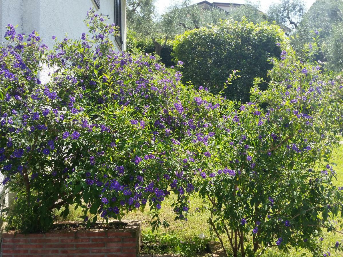Casa Vittoria Villa Corsanico-Bargecchia Eksteriør billede
