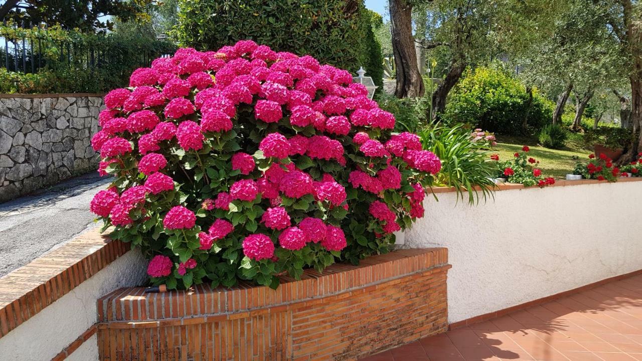 Casa Vittoria Villa Corsanico-Bargecchia Eksteriør billede